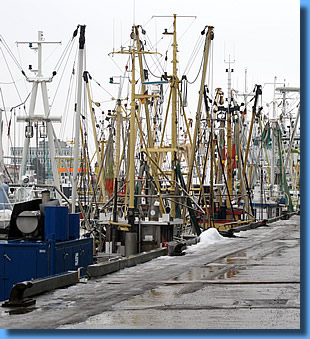 Neuer Fischereihafen Cuxhaven