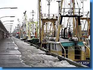 Fischereihafen Cuxhaven