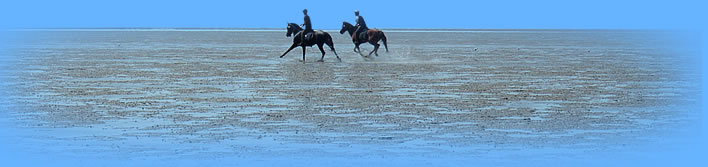 Watt Reiter in Cuxhaven am Strand